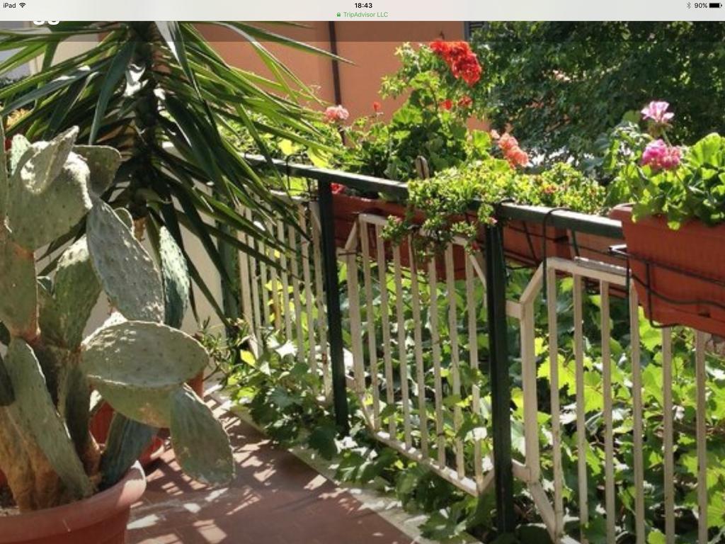 Hotel Mirella Rimini Exterior foto